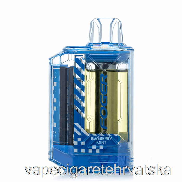 Vape Hrvatska Foger Ct10000 Disposable Blueberry Mint
